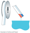 Example of Litmus pH Paper