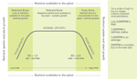 Nutrients Available to the Plant