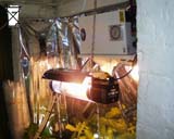 600W water cooled high pressure sodium light in use.