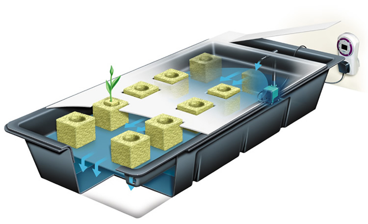 NFT Hydroponics System