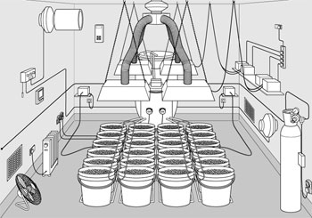 Quad 600 Watt Kit Grow Room (sala non incluso!)