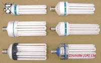 L�mpadas fluorescentes crescer ideal para jovens / pequenas plantas, arm�rio cresce