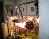 600W water cooled high pressure sodium light in use.
