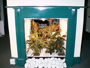 (plants in a fireplace display with white stones in front)