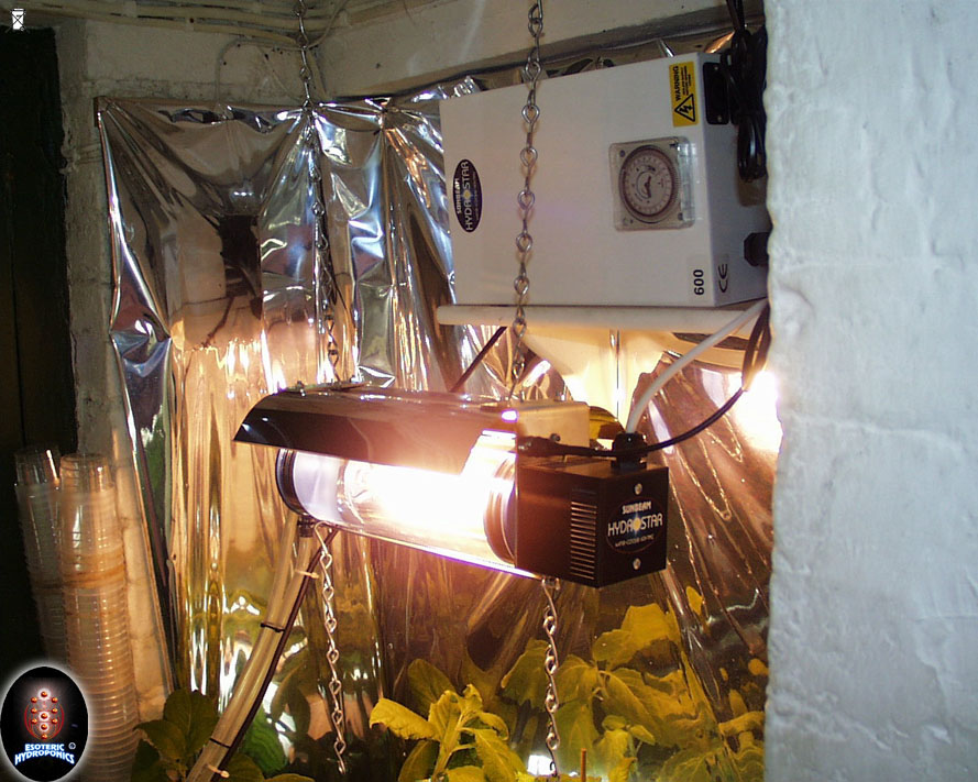 A big water cooled light and two tubes leading to a bigger water barrel (out of picture).