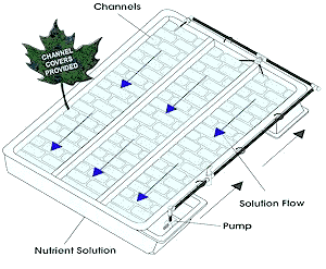 Nutrient Film Technique Kit