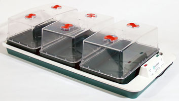 Big Three Heated Propagator