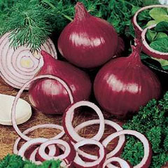 onion-toscana-seeds.jpg