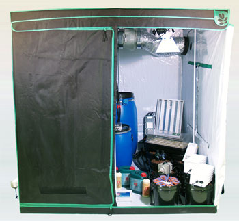 The Big Mamma Grow Tent Starter Kit 2m x 2m x 2m