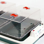 Big Three Heated Propagator