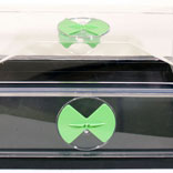 X-Stream Expandable Propagator